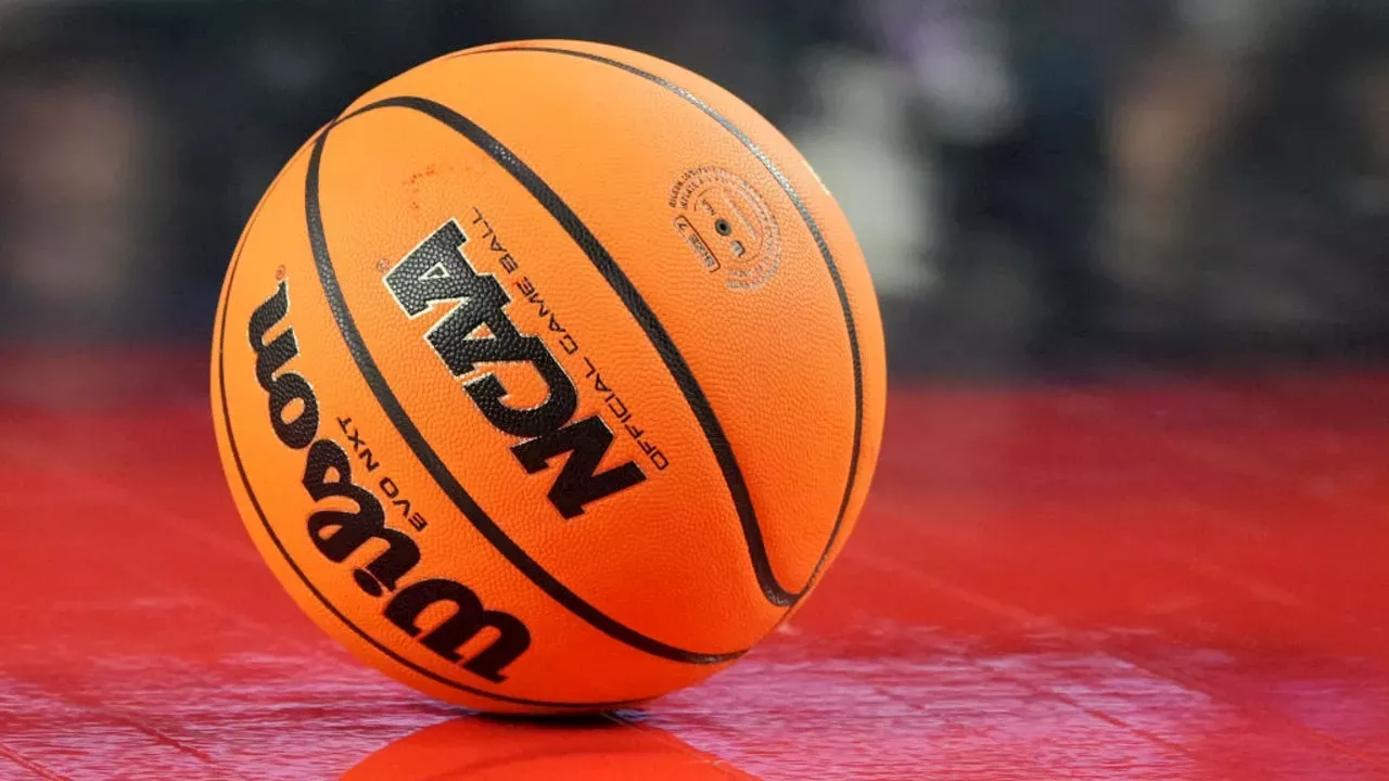 March Madness 2024: How to Watch Selection Sunday Online, Time, NCAA Bracket Reveal Livestream