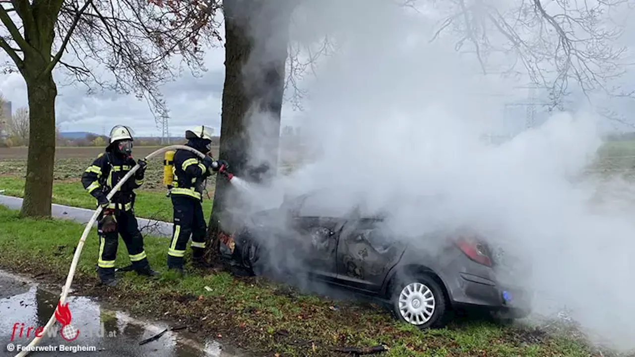 D: Pkw brennt nach Kollision an Baum in Bergheim → ein Todesopfer