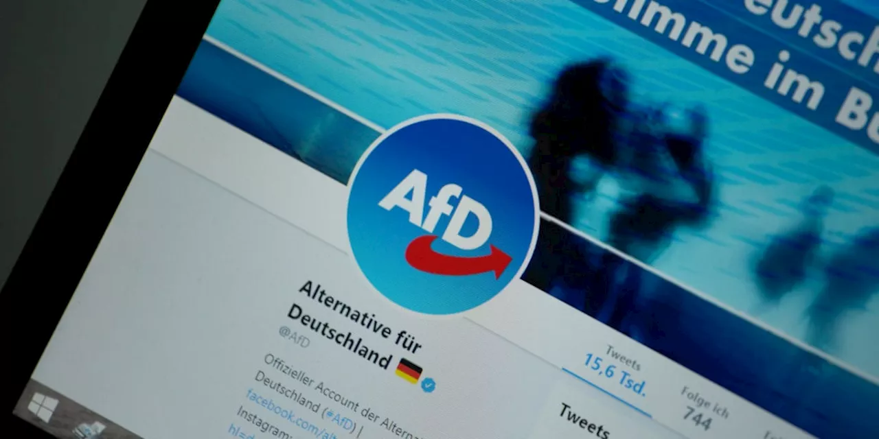 Die AfD beherrscht die sozialen Medien - was das für die Gesellschaft bedeutet