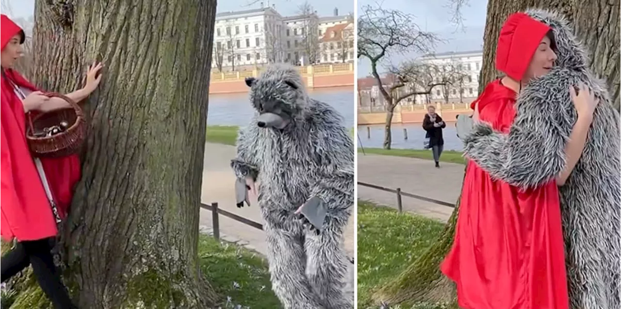 In bizarrem Rotkäppchen-Video feiert die CDU die Jagd vom „bösen Wolf“