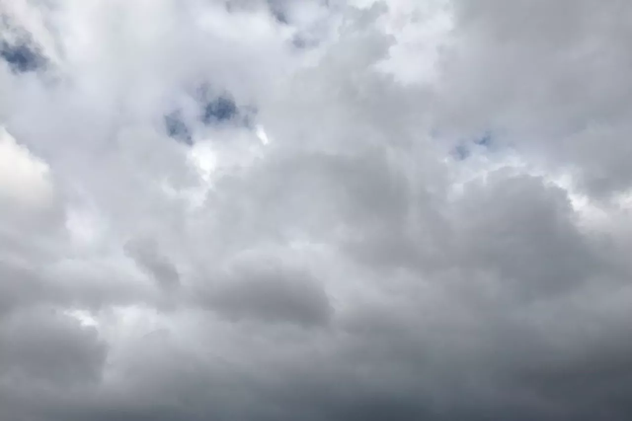 Météo en Pays de la Loire : un début de weekend tout en douceur et en grisaille