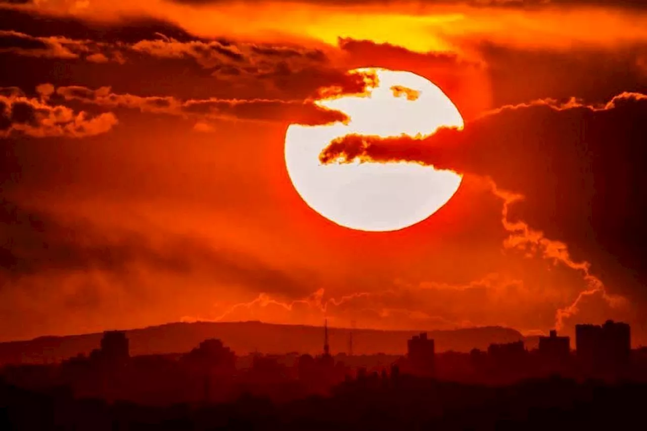 Onda de calor: educador de Ribeirão Preto explica como altas temperaturas prejudicam processo de aprendizado