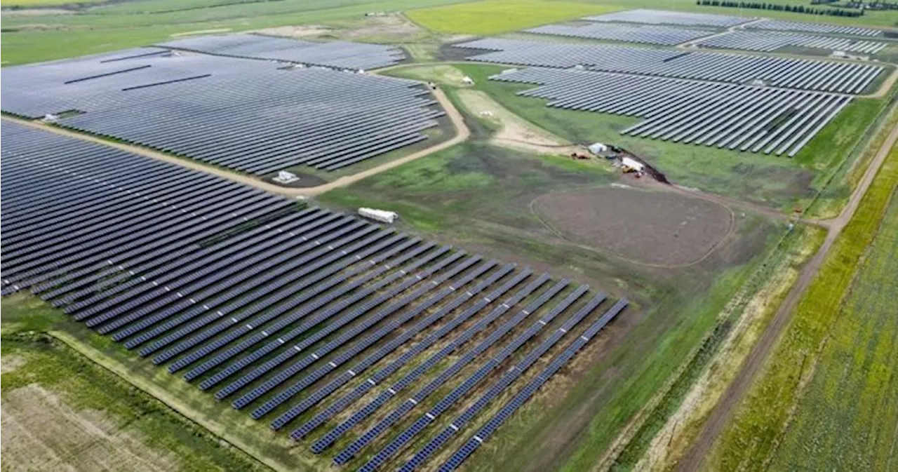 Critics say Alberta renewables report contradicts government proposals for industry