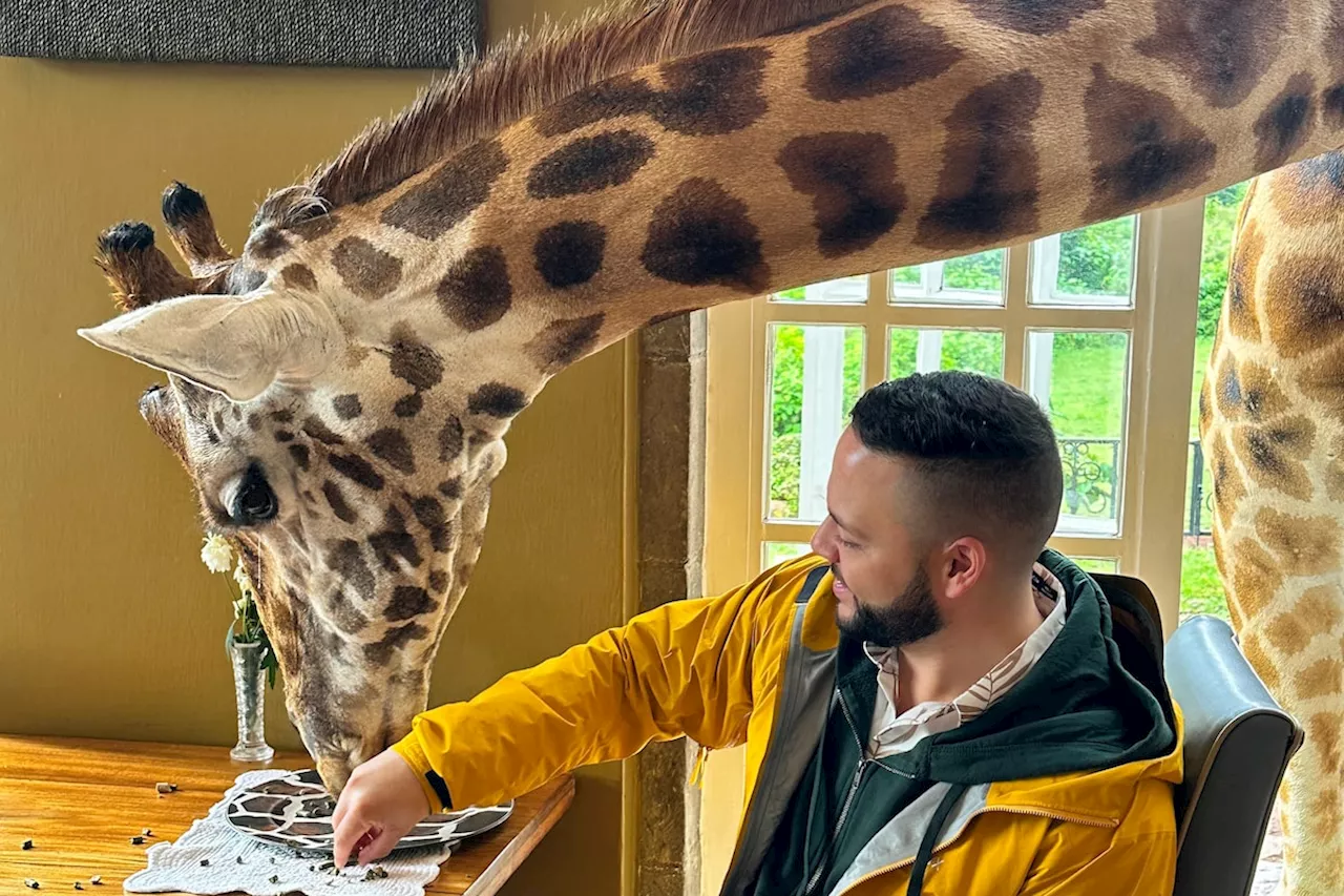 Hand-feeding giraffes in Kenya lives up to the hype