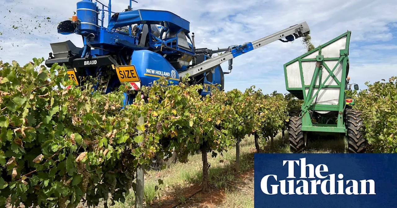 China Recommends Dropping Tariffs on Australian Wine Exports