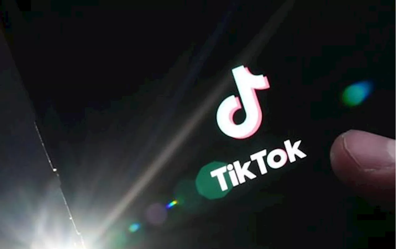 TikTok faces national security review in Canada: minister