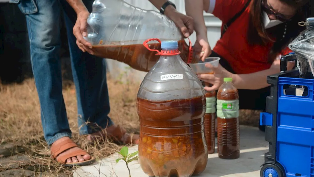 ”Eco-Enzyme” Bermanfaat bagi Lingkungan dan Kesehatan