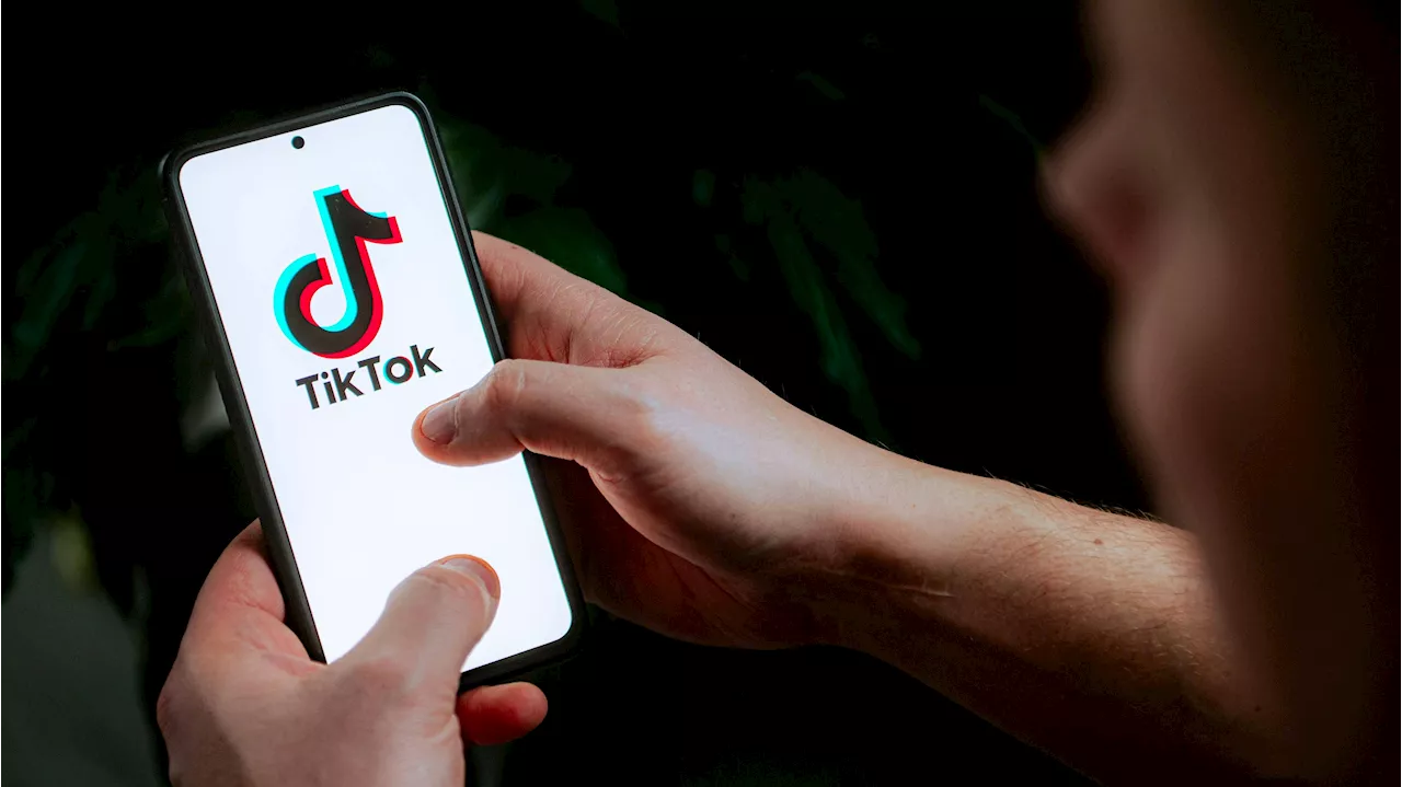 Ex-US-Finanzminister sucht Investoren für TikTok-Kauf