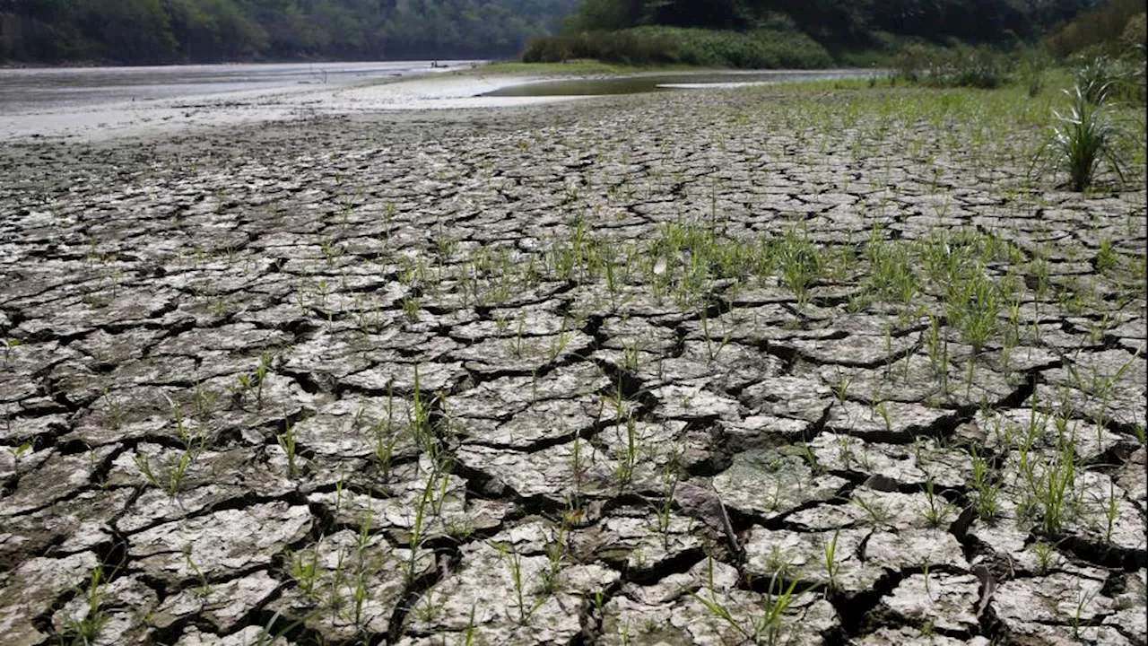 Miljøagentur: Europa er slet ikke klar til klimaforandringer