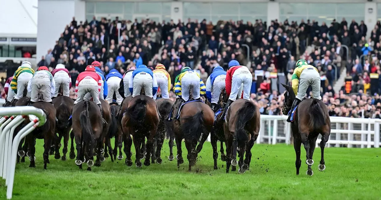 Cheltenham Festival day 3 winners, results, reaction and more