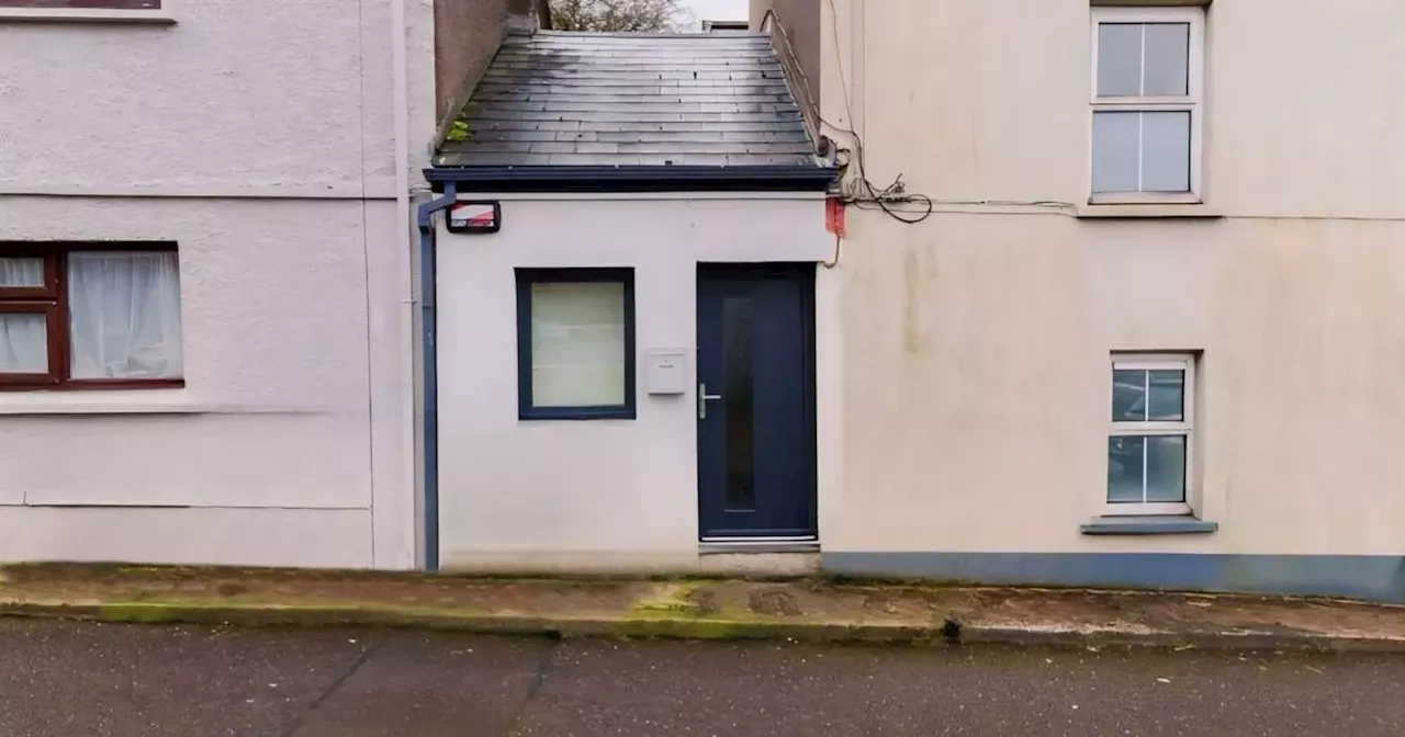 One of Ireland's smallest homes has hit the market - and the inside's surprising