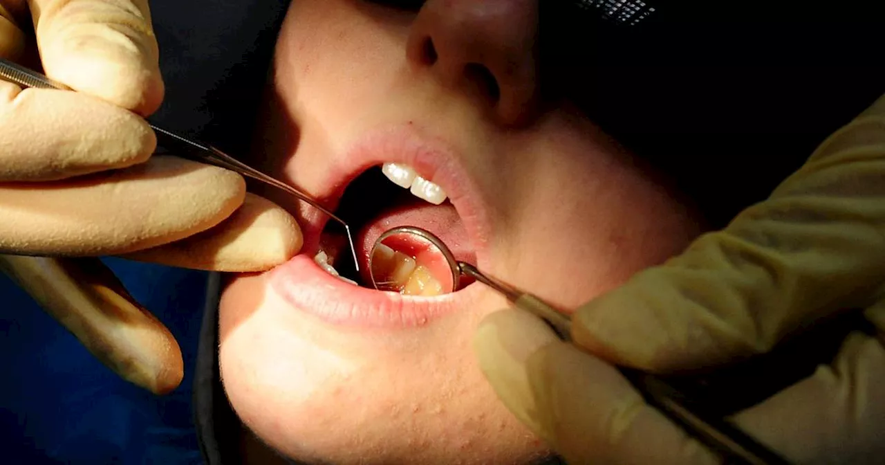 EU ban on tooth-filling material will lead to ‘collapse of NHS dental services’ in Northern Ireland