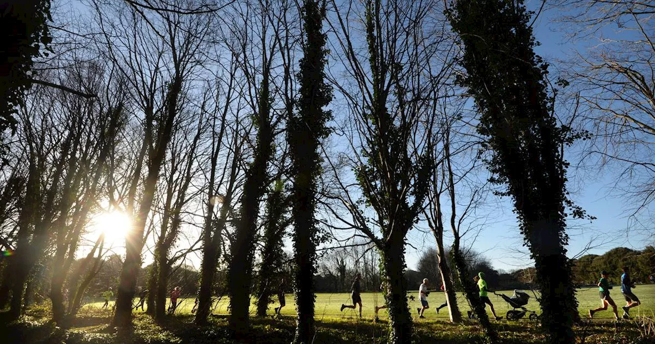 Ian O’Riordan: Come on parkrun, give them back their stats!