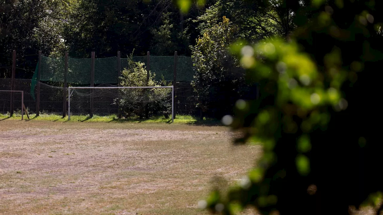 'Sind nicht alles Engel': Gewalt im Amateurfußball