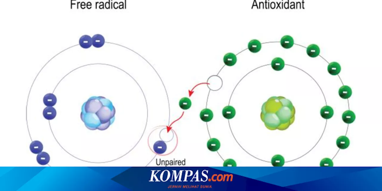 Apa Itu Radikal Bebas? Berikut Pengertian, Sumber, dan Dampaknya pada Tubuh