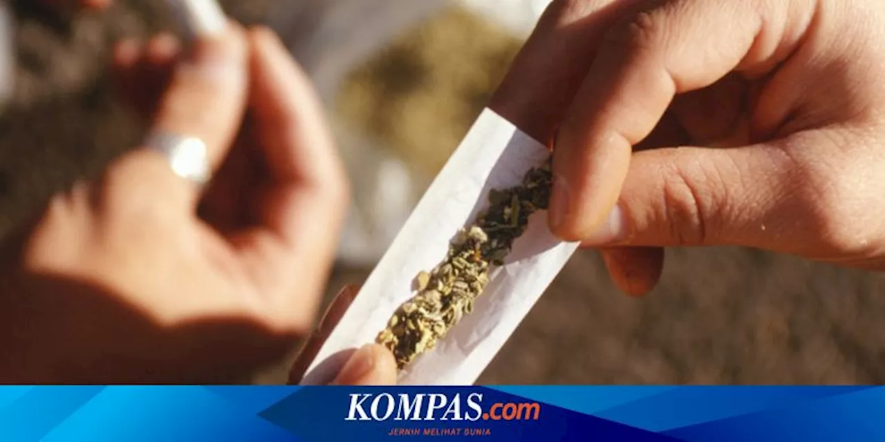 Berefek Buruk, Budaya Ganja Bebas di Thailand Akan Dilarang Kembali