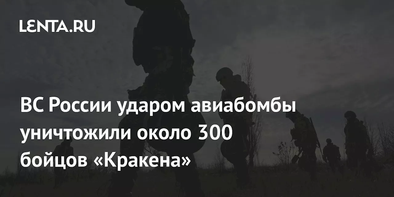 ВС России ударом авиабомбы уничтожили около 300 бойцов «Кракена»