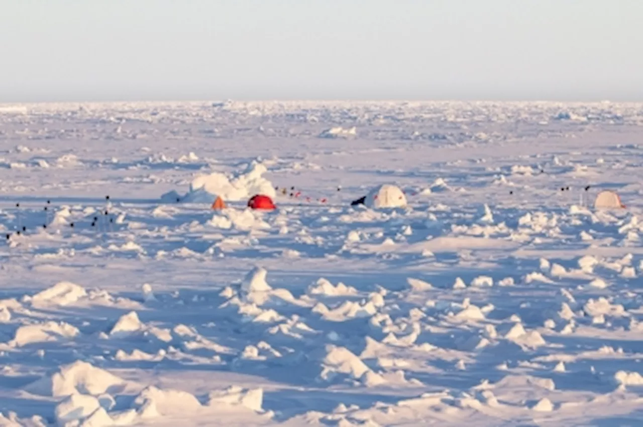 From skating to sea ice, this Dutch startup has a surprising plan to ‘restore’ Arctic ice