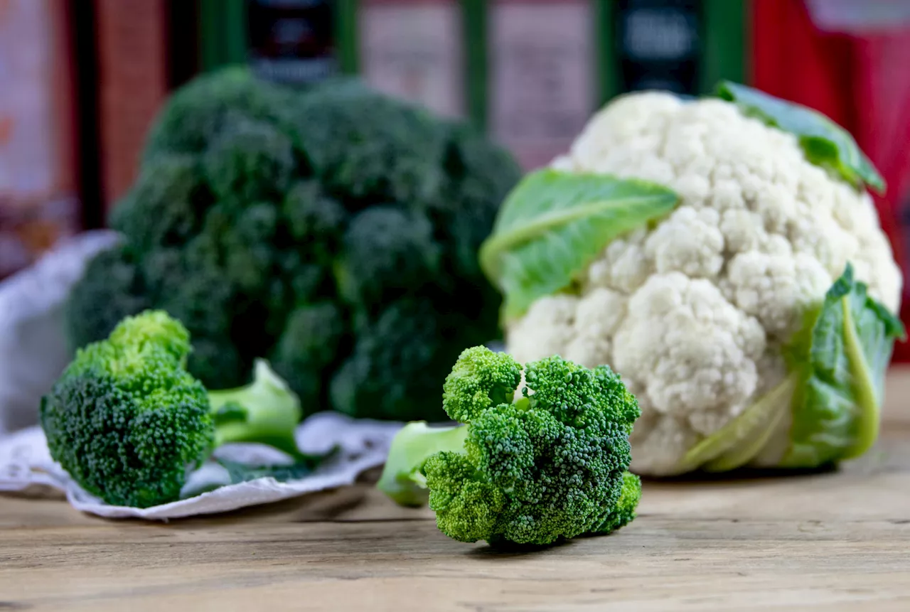 Eating cruciferous vegetables while breastfeeding may give infants a healthy start