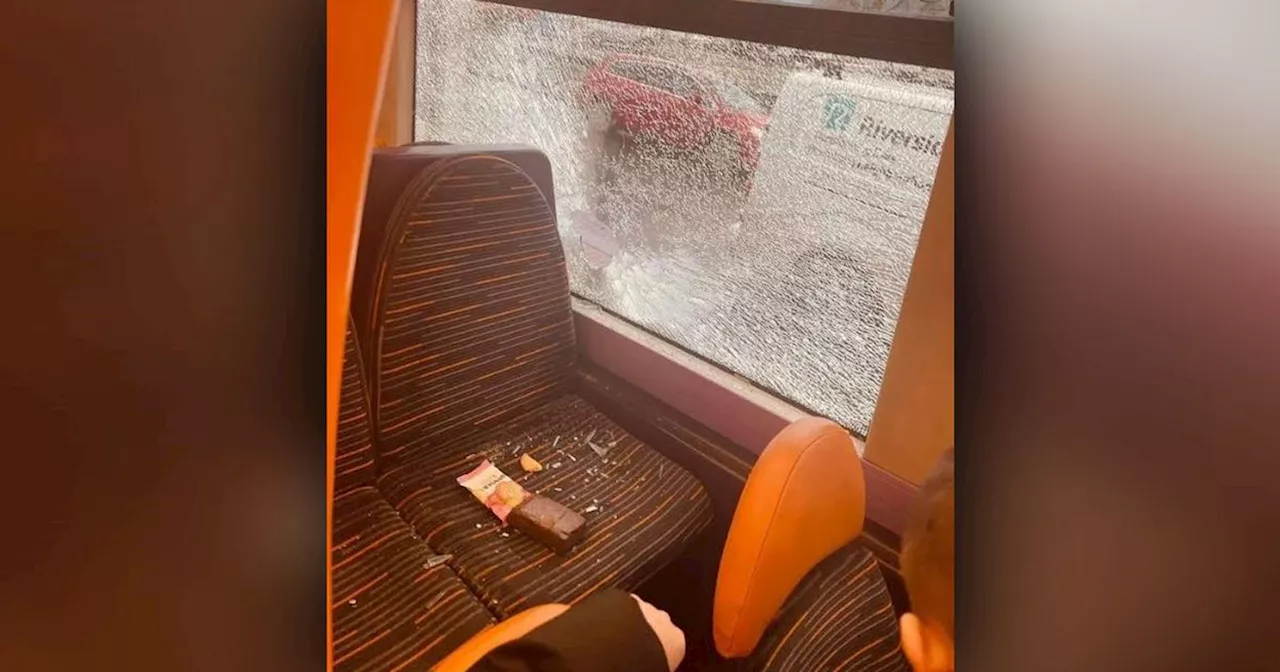 Mother and son left traumatised after brick thrown through bus window