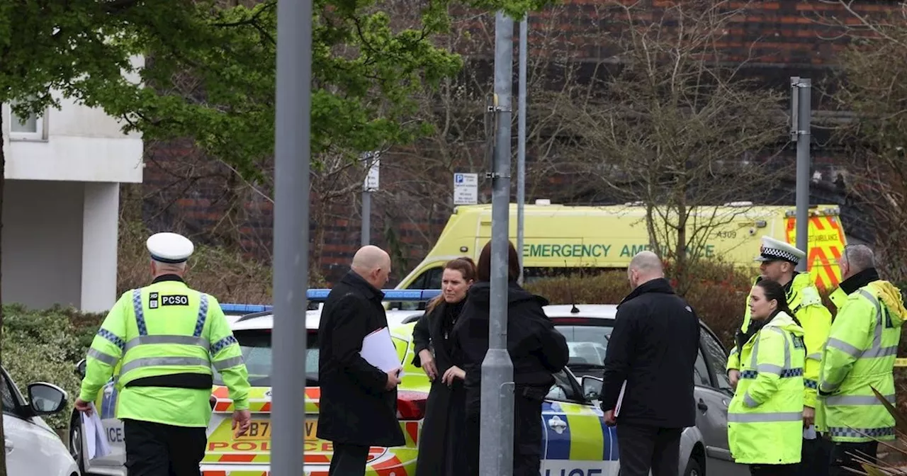 Murder investigation launched after man hit by Land Rover