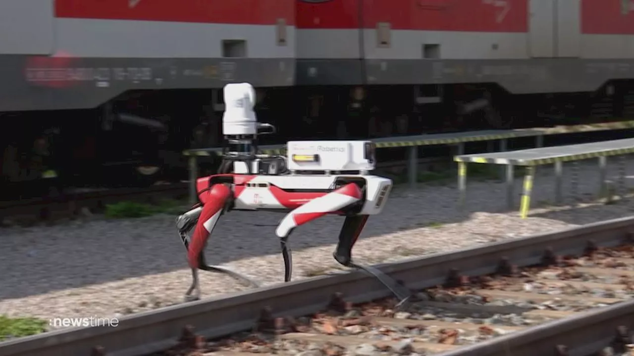 40 Kilo schwer, mit drei „Augen“: Roboter-Hund jagdt Sprayer