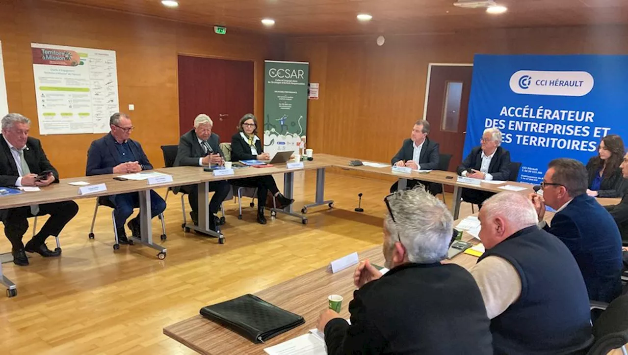 Crise du logement dans l'Hérault : 'Ça devient un rêve d'avoir son propre toit'