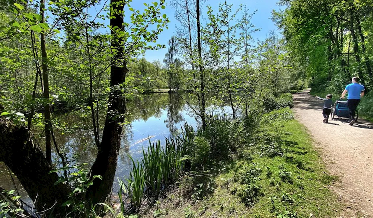 Weder Elbe noch Alster: Diese Wege am Wasser kennen Sie bestimmt noch nicht