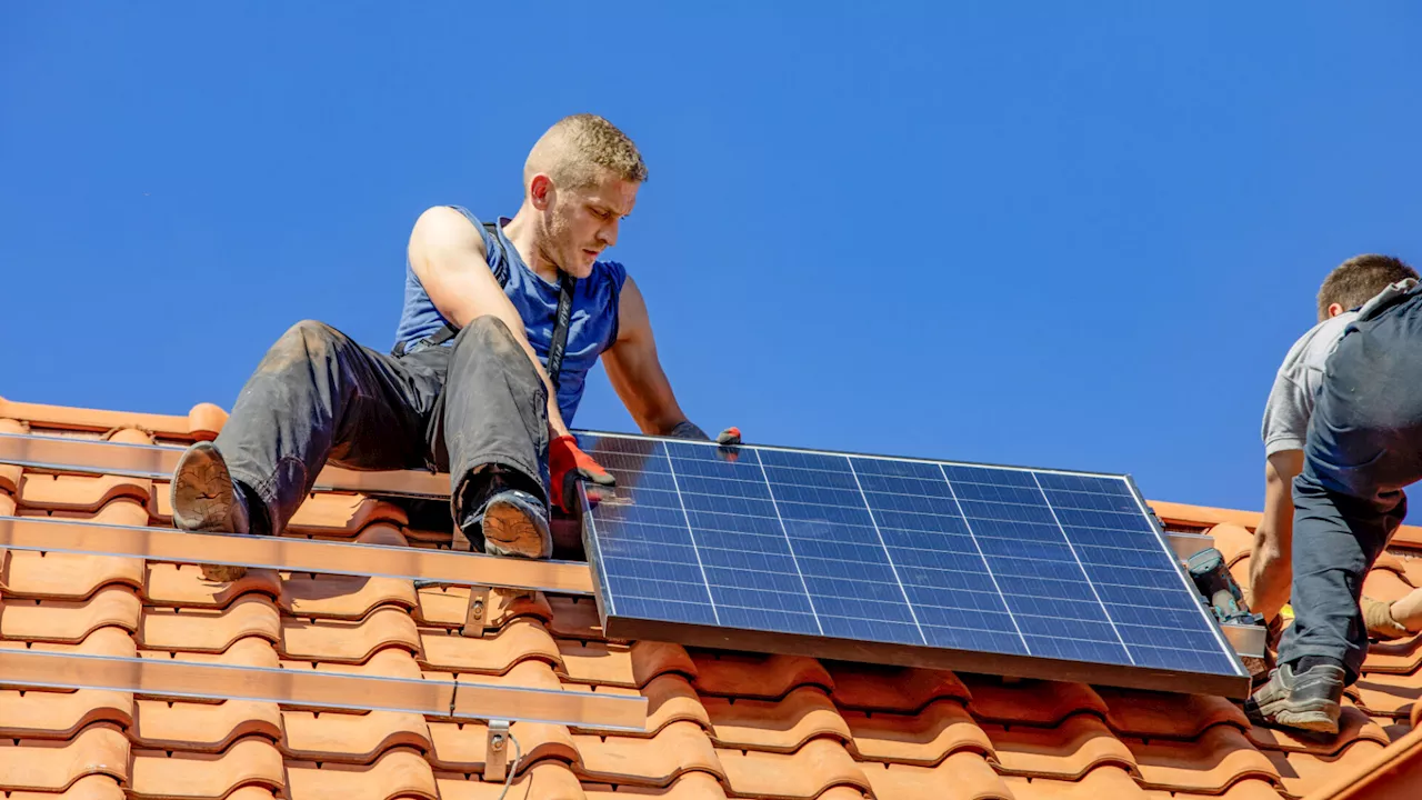 Energiegemeinschaften aktiv: „Wenn es einmal läuft, dann läuft es gut“