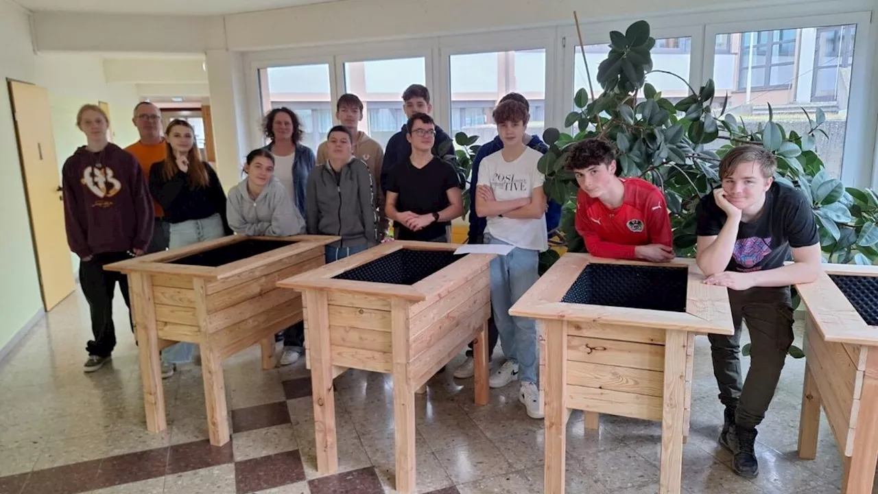 Neulengbachs Poly-Schüler fit in Erster Hilfe und beim Hochbeetbauen