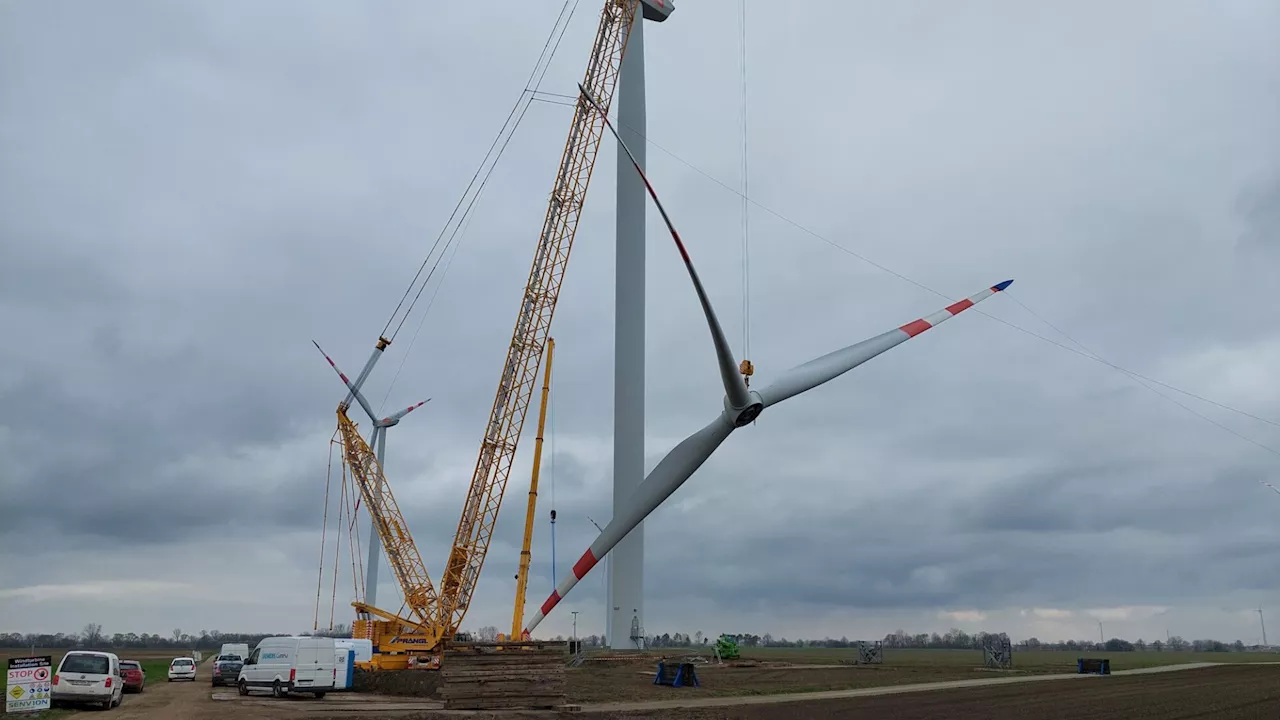 Spektakulär: Reparaturarbeiten im Windpark Glinzendorf