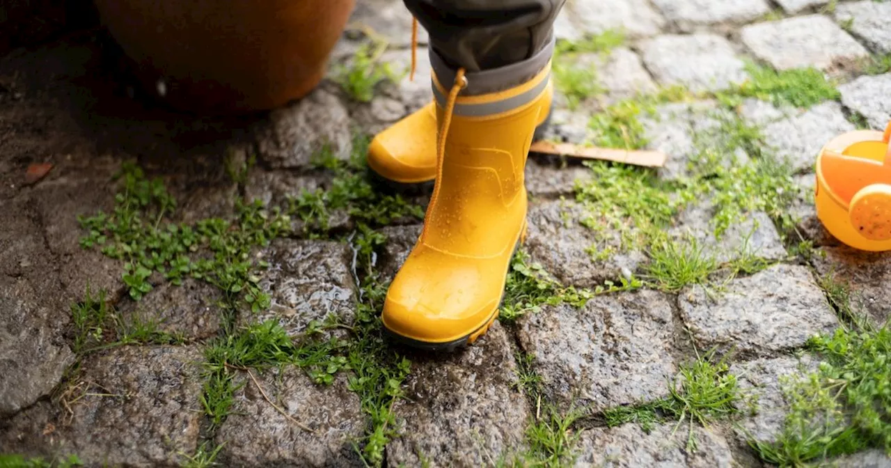 'Magic' cleaner spruces up patios for £20 without needing a pressure washer