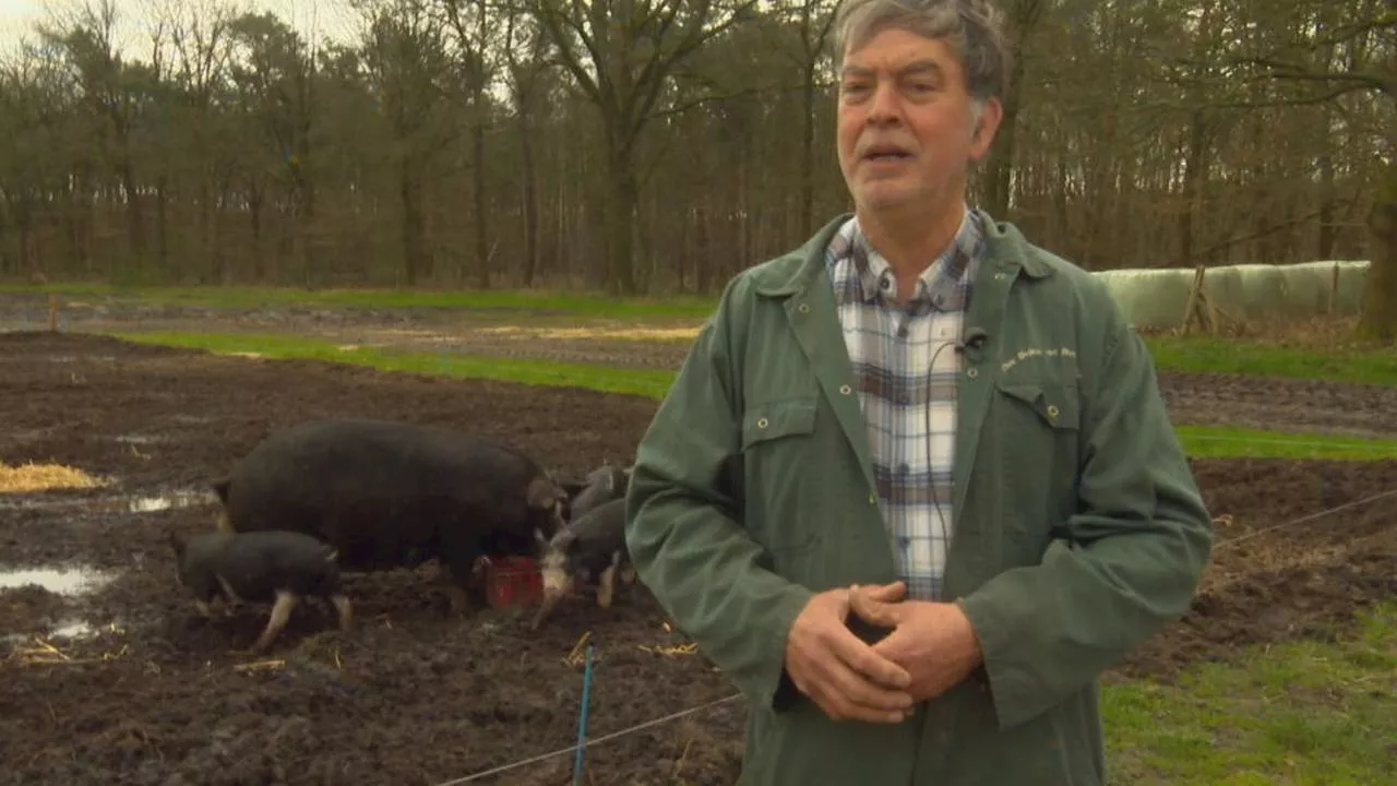 Deze boer is blij dat Jumbo stopt met kiloknallers: 'Niet mee stunten'