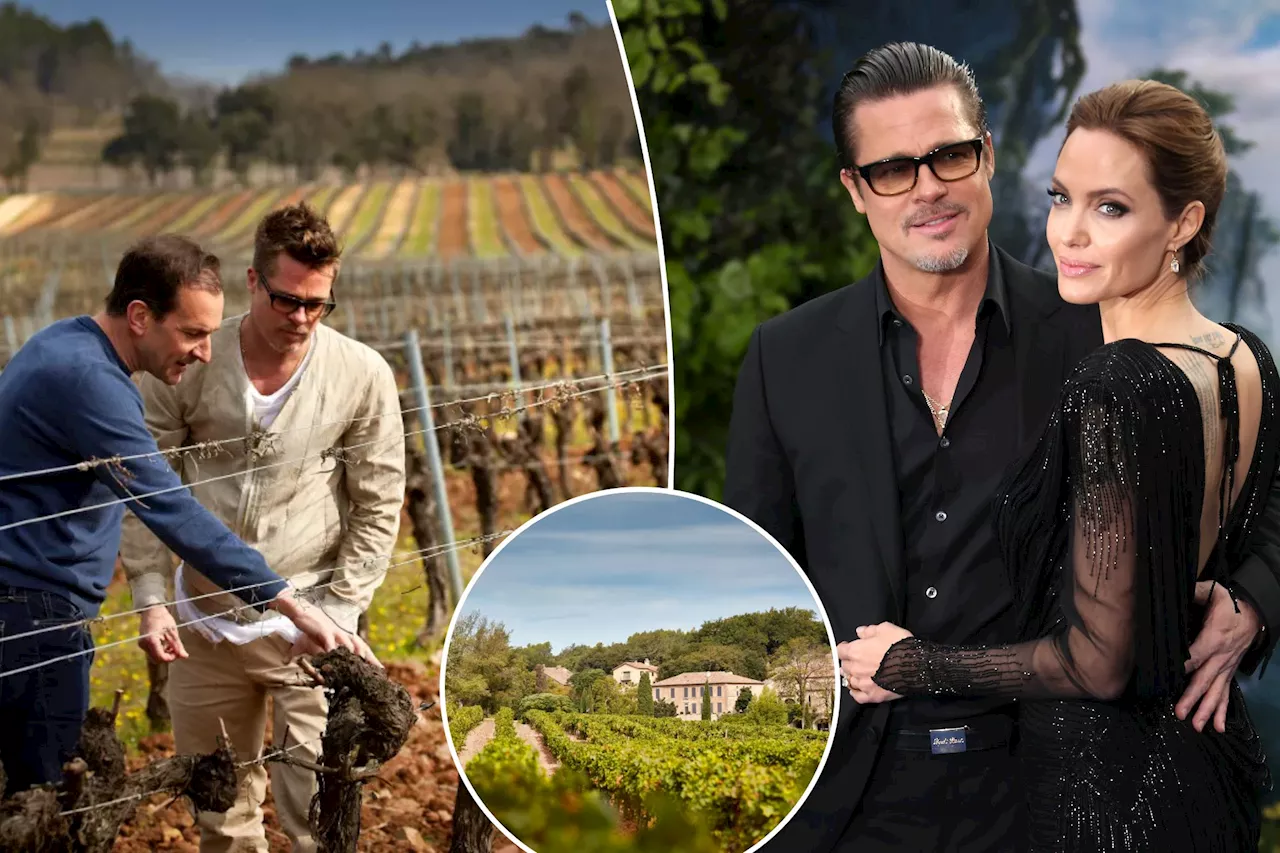 Brad Pitt ready to fight Angelina Jolie, billionaire over Château Miraval: 'Standing up to bullies'