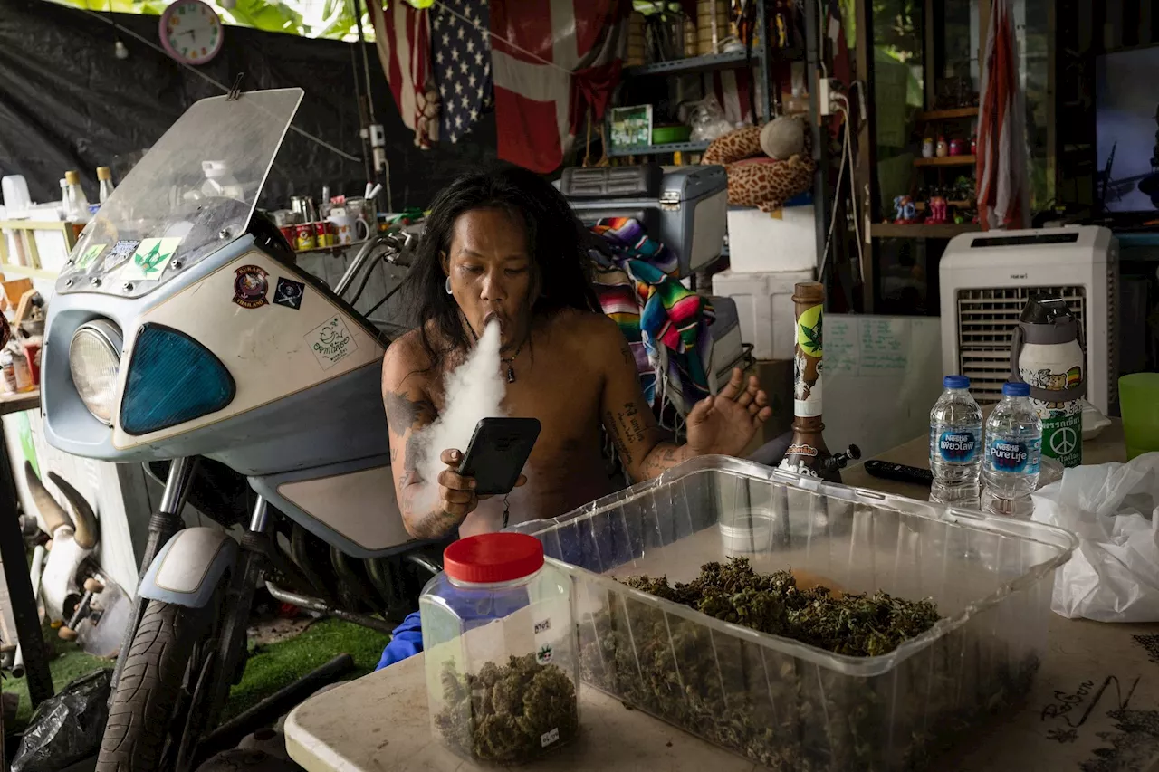 Thailand’s flourishing cannabis culture to end as government seeks ban