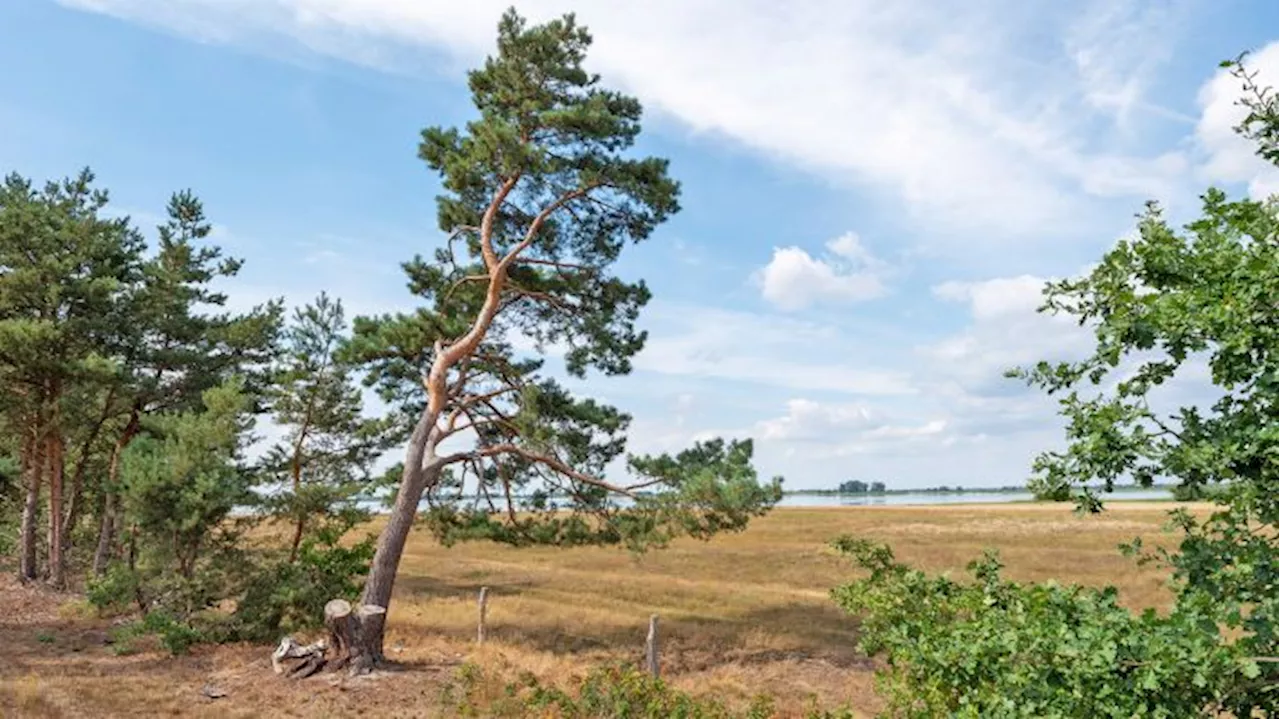 So stemmt sich das Havelland gegen den Wassermangel