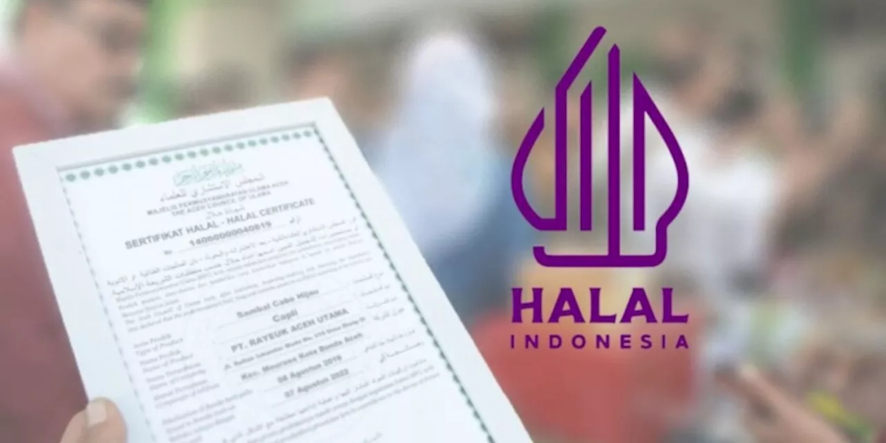 Masih Jauh dari Target, Realisasi Program Sertifikasi Halal Baru Capai 4 Juta