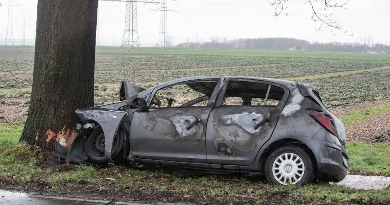 Autofahrer prallt gegen Baum und stirbt​