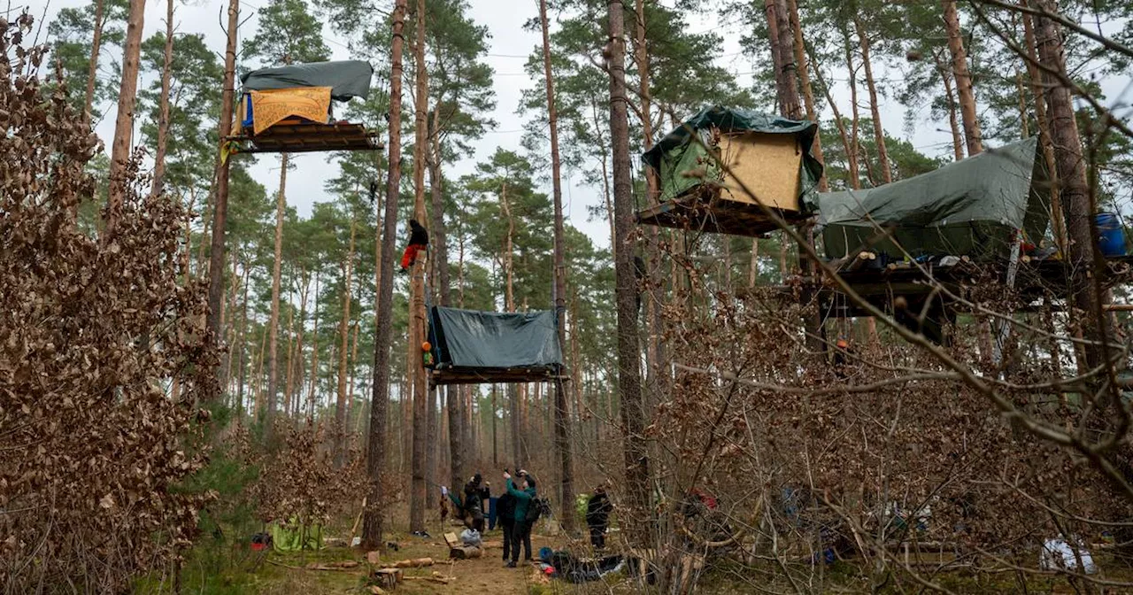 Grünheide: Protestcamp gegen Tesla darf bleiben - Baumhäuser müssen abgebaut werden​