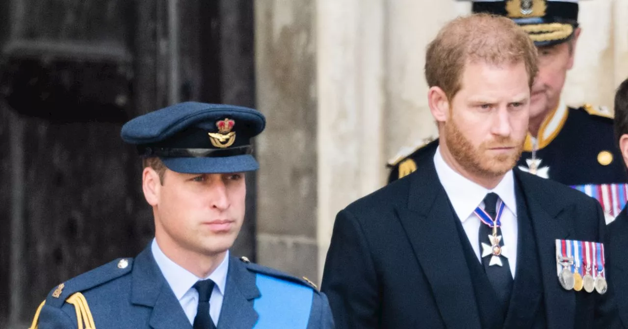 Prince William and Harry to pay tribute to mother Diana in rare joint appearance