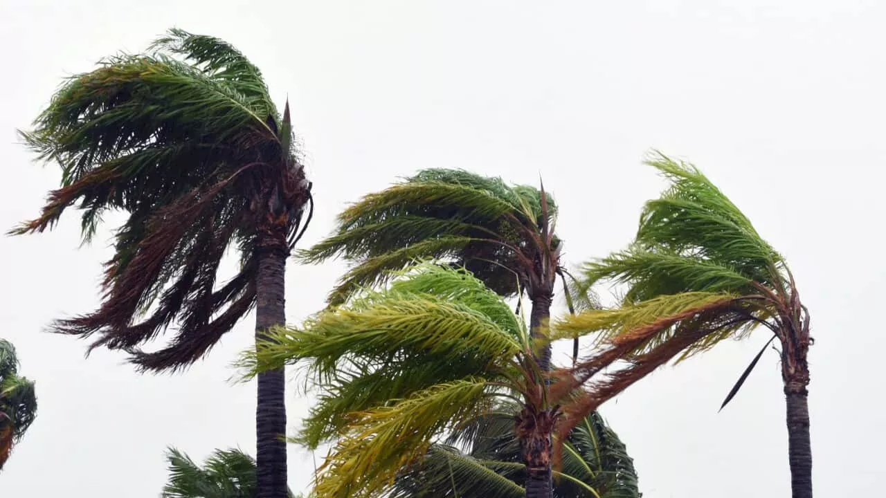 Coastal residents issued warning: Cyclone Megan is coming