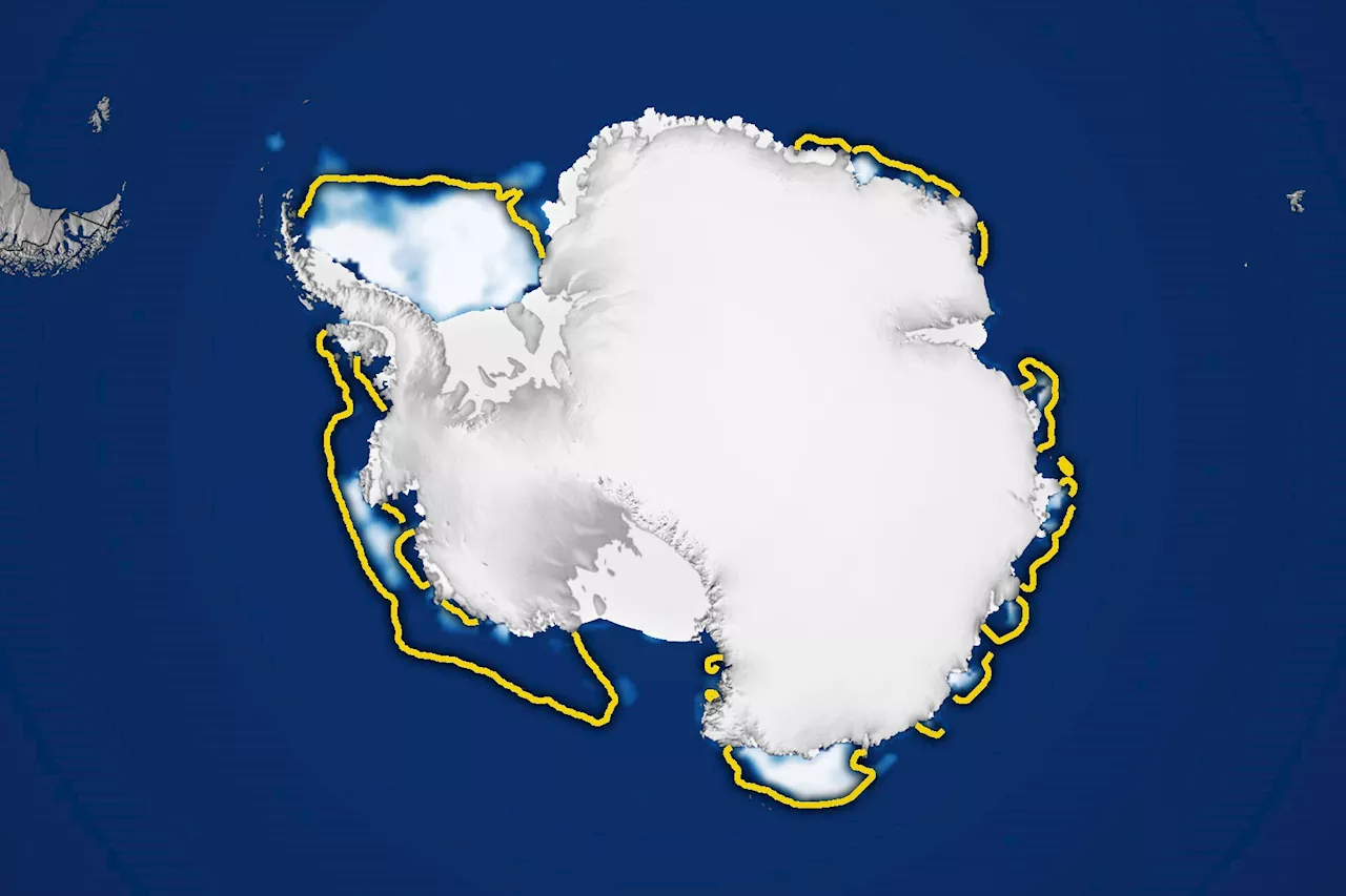 Chilling Reality: Antarctic Sea Ice Hits Near-Historic Lows