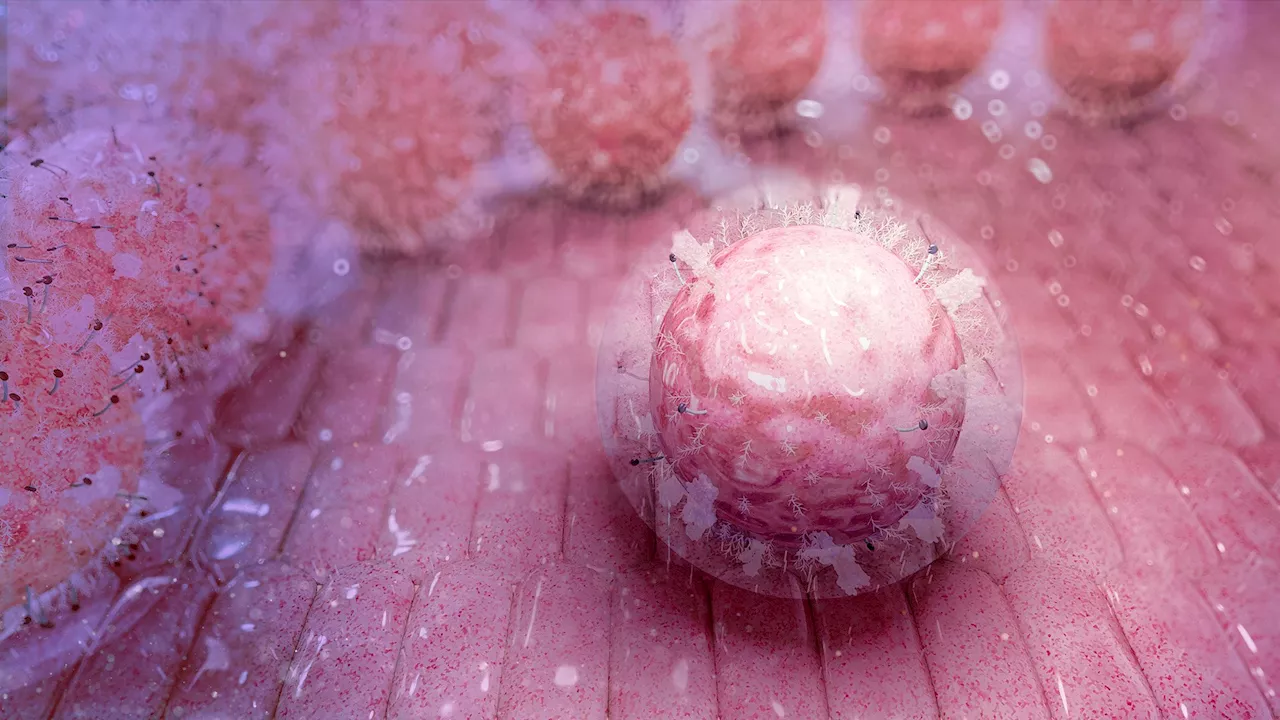 Often Overlooked Stem Cells Hold Hidden Powers for Blood Disease Treatments