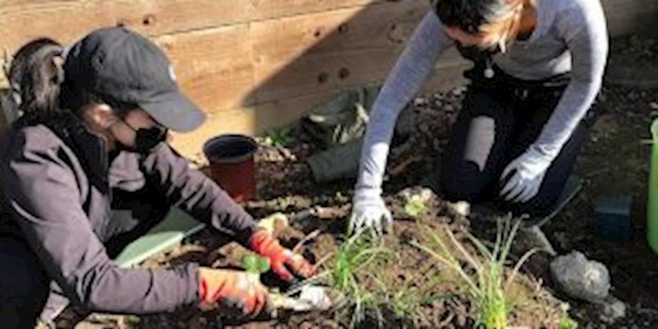 Garden for the Environment: Soil Health, Composting, and Urban Agriculture Bilingual Workshop