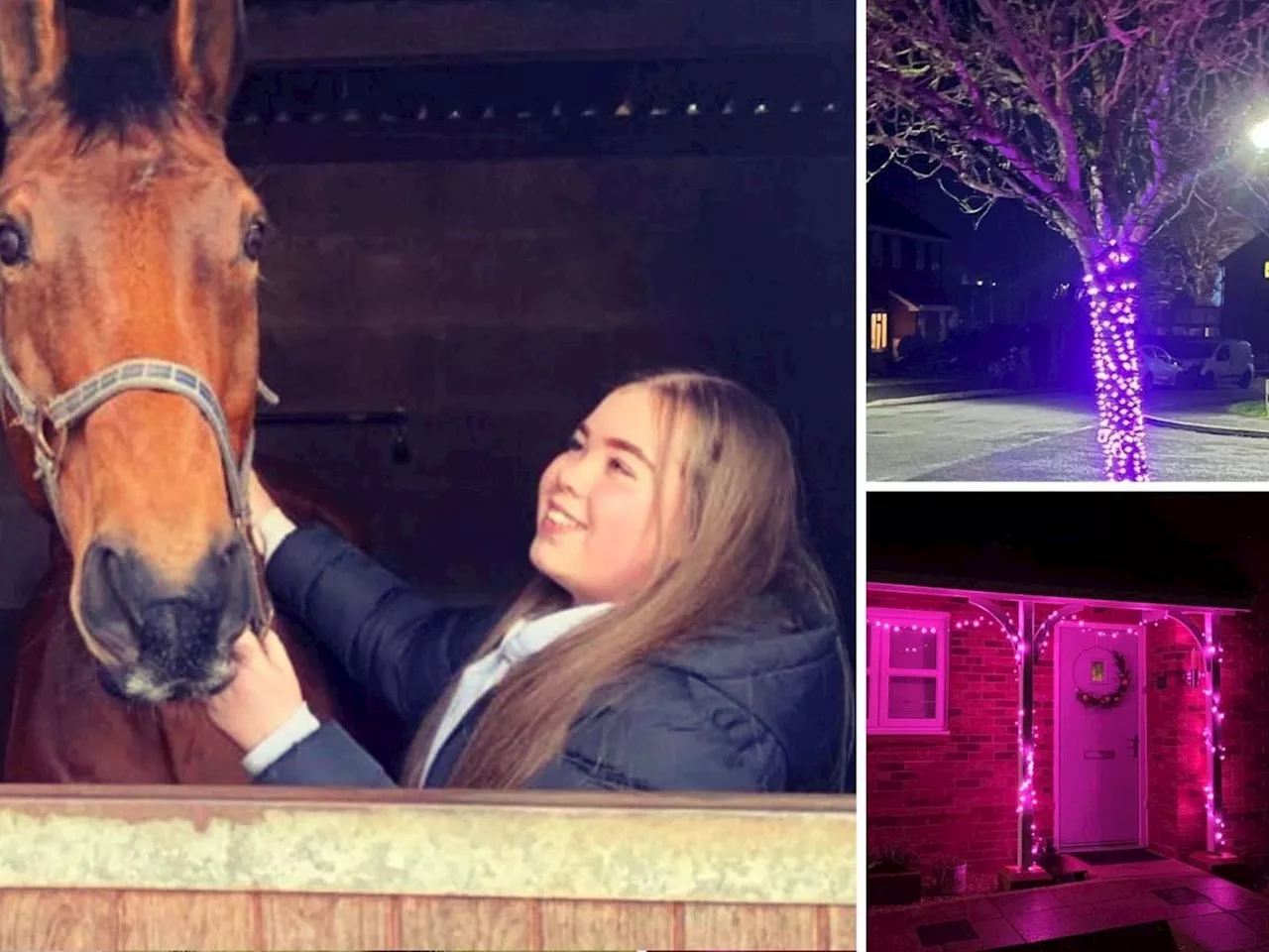 Ellesmere lights up pink in memory of teen who died suddenly from undiagnosed brain tumour