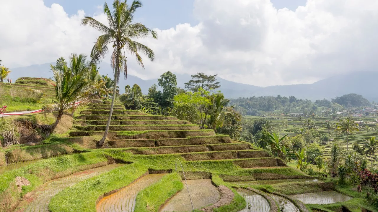 Australian tourist dies in Bali natural disaster