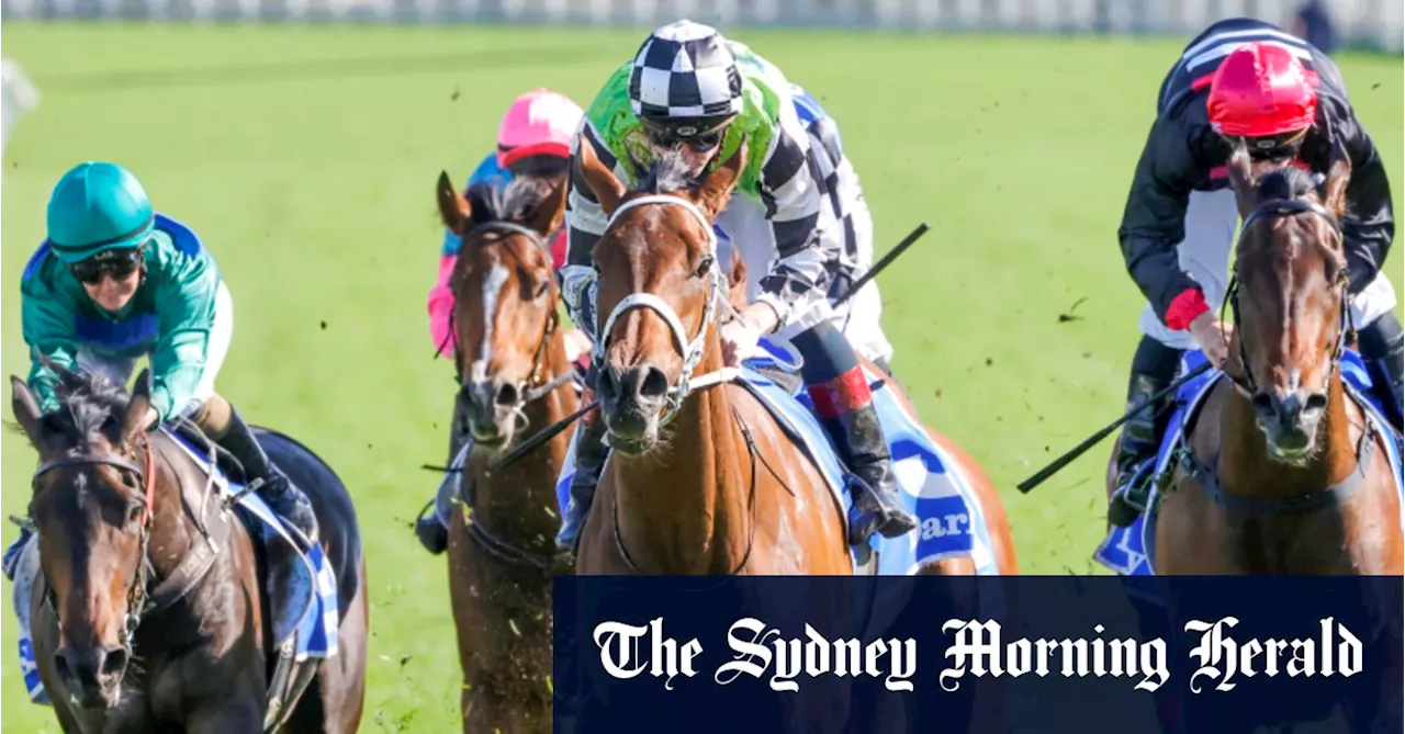 Race-by-race preview and tips for Rosehill on Saturday