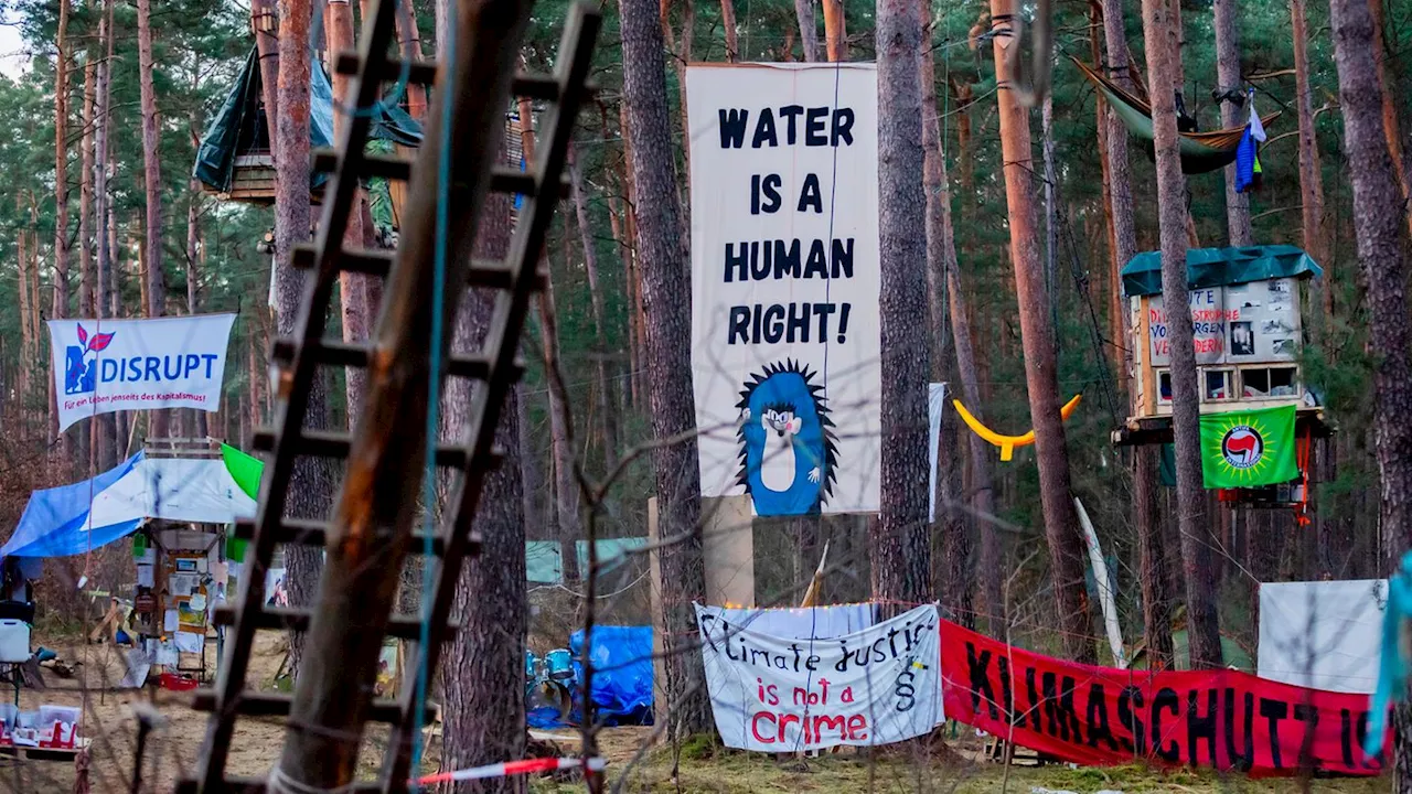 Protest in Grünheide: Droht eine Eskalation wie in Hambi und Lützi?