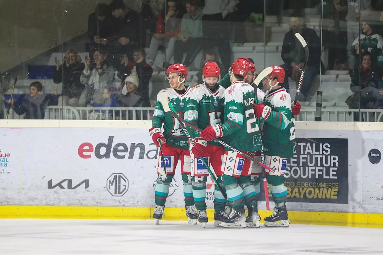 Hockey sur glace (Ligue Magnus) : l’Hormadi assure son maintien à Gap