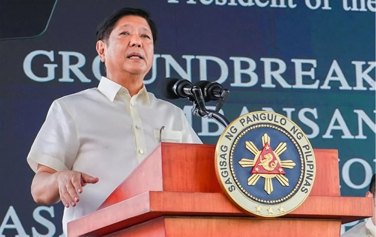 BBM okay sought for bridge linking Negros, Cebu, Bohol